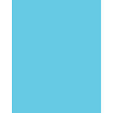 poster board lt blue (sheet)