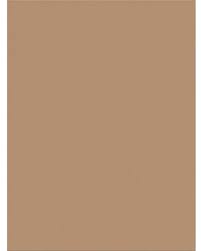 paper construction light brown  12 x18 (pkg)