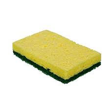 SCRUB SPONGE (ea)